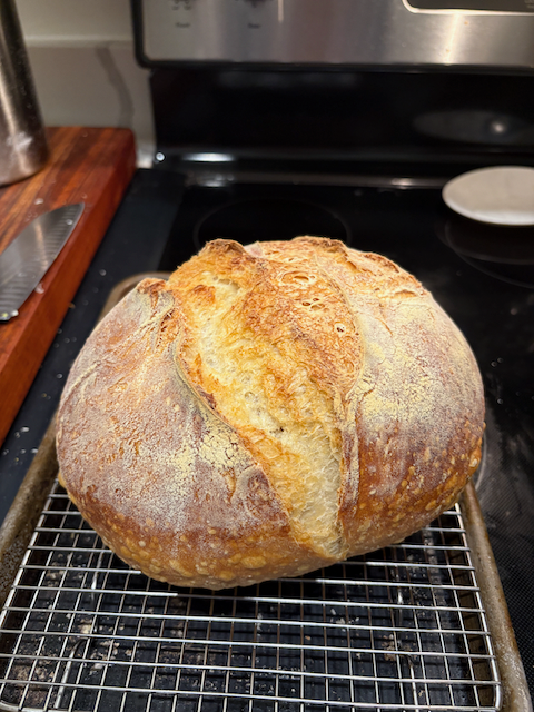 Bread